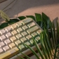 Spring Outing 104+26 PBT Keycaps Set Backlit / Opaque Cherry / QX3 Profile for MX Switches Mechanical Gaming Keyboard